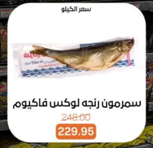 available at بيت الجملة in Egypt - القاهرة