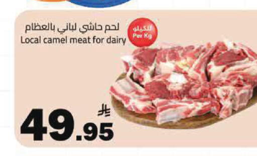 available at مخازن هايبرماركت in مملكة العربية السعودية, السعودية, سعودية - تبوك