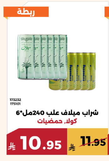 available at Forat Garden in KSA, Saudi Arabia, Saudi - Mecca