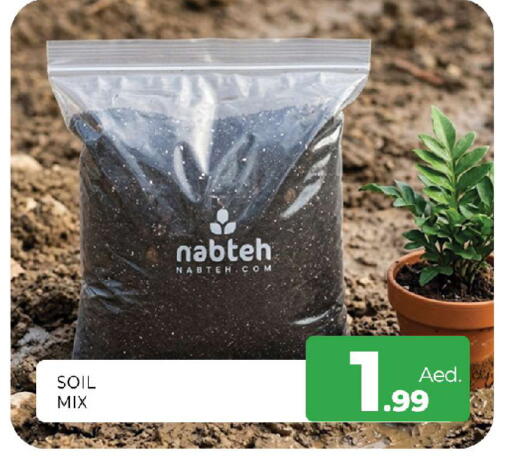 available at Al Madina  in UAE - Sharjah / Ajman