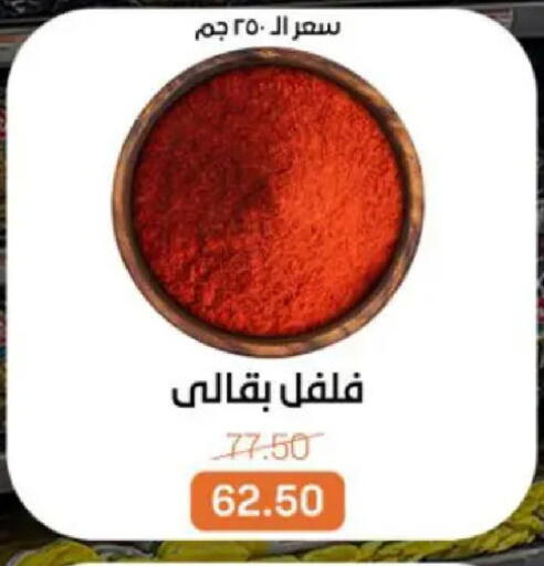 available at Beit El Gomla in Egypt - Cairo