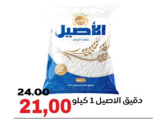 available at Galhom Market in Egypt - Cairo