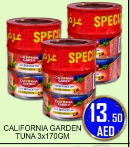 available at جرين جيفت متجر أقسام in الإمارات العربية المتحدة , الامارات - دبي