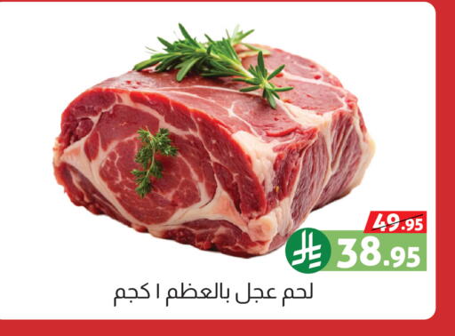 available at Offers Hall in KSA, Saudi Arabia, Saudi - Khamis Mushait