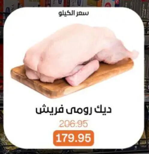 available at بيت الجملة in Egypt - القاهرة