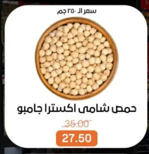 available at Beit El Gomla in Egypt - Cairo