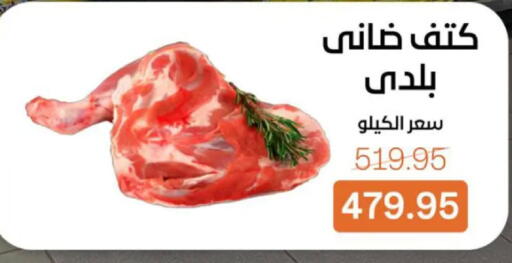 available at بيت الجملة in Egypt - القاهرة