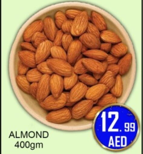 available at جرين جيفت متجر أقسام in الإمارات العربية المتحدة , الامارات - دبي