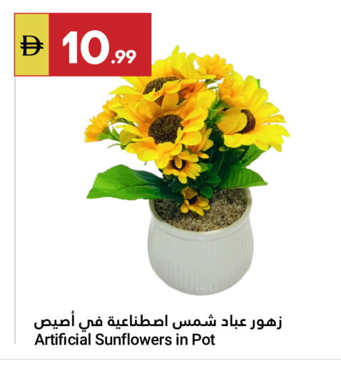 available at جراند الإمارات للتسوق in الإمارات العربية المتحدة , الامارات - أبو ظبي