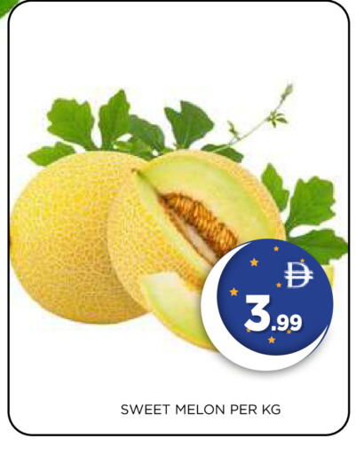 Melon available at Ain Al Madina Hypermarket in UAE - Sharjah / Ajman