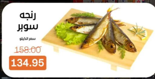 available at بيت الجملة in Egypt - القاهرة