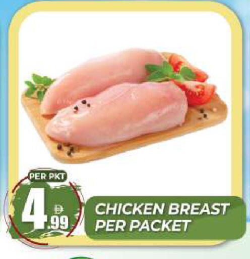 available at دريم لاند in الإمارات العربية المتحدة , الامارات - دبي