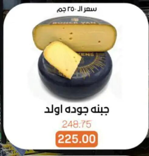 available at بيت الجملة in Egypt - القاهرة