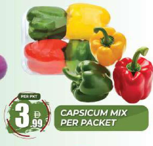Capsicum available at دريم لاند in الإمارات العربية المتحدة , الامارات - دبي