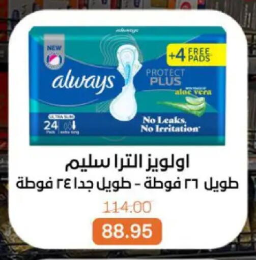 available at بيت الجملة in Egypt - القاهرة