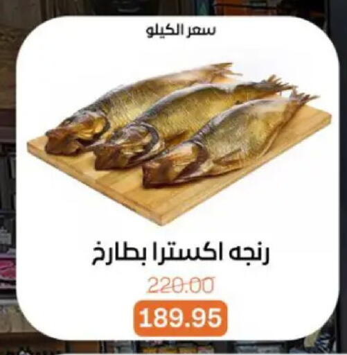 available at بيت الجملة in Egypt - القاهرة