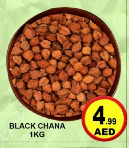 available at جرين جيفت متجر أقسام in الإمارات العربية المتحدة , الامارات - دبي