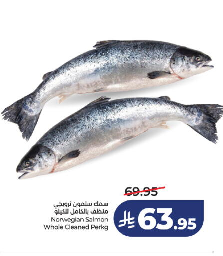 available at لولو هايبرماركت in مملكة العربية السعودية, السعودية, سعودية - تبوك