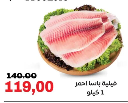 available at جلهوم ماركت in Egypt - القاهرة