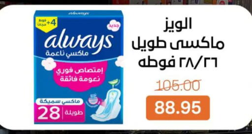 available at بيت الجملة in Egypt - القاهرة