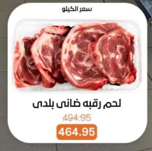 available at بيت الجملة in Egypt - القاهرة