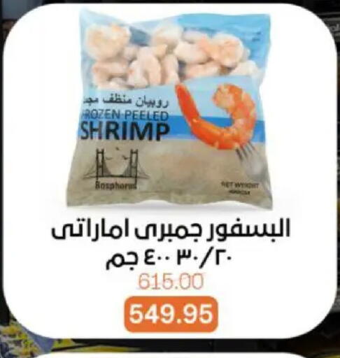 available at بيت الجملة in Egypt - القاهرة