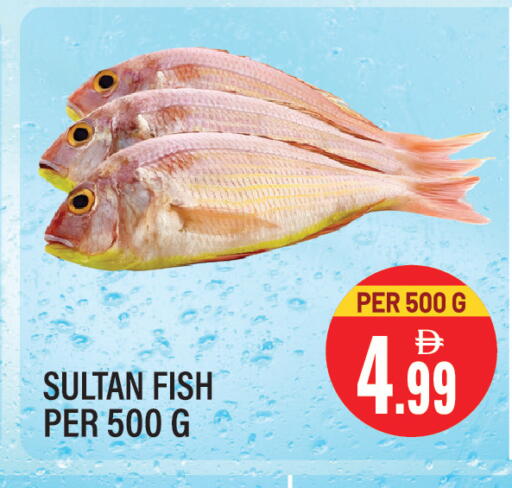 available at Dream Land in UAE - Sharjah / Ajman