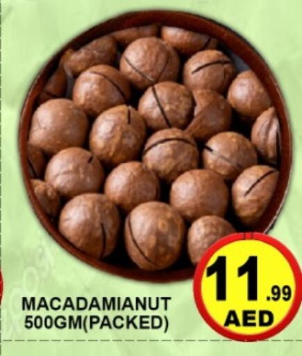 available at جرين جيفت متجر أقسام in الإمارات العربية المتحدة , الامارات - دبي