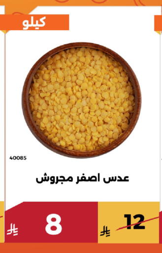 available at Forat Garden in KSA, Saudi Arabia, Saudi - Mecca