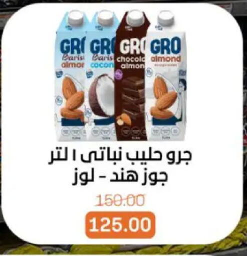 available at بيت الجملة in Egypt - القاهرة