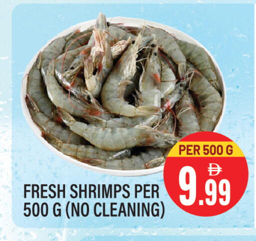 available at Dream Land in UAE - Sharjah / Ajman