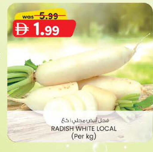Radish available at ك. الم. للتجارة in الإمارات العربية المتحدة , الامارات - دبي