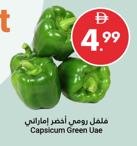 Capsicum available at جراند الإمارات للتسوق in الإمارات العربية المتحدة , الامارات - أبو ظبي