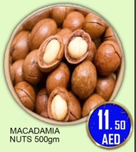 available at جرين جيفت متجر أقسام in الإمارات العربية المتحدة , الامارات - دبي