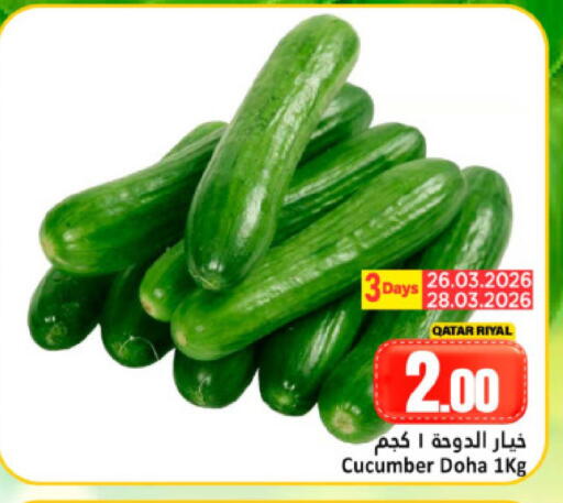 Cucumber from Qatar available at دانة هايبرماركت in قطر - الدوحة