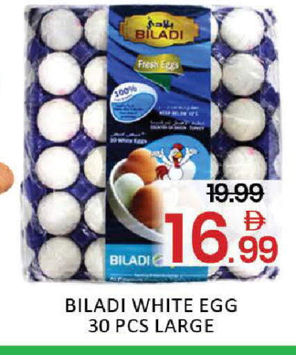 Mango available at Mango Hypermarket LLC in UAE - Dubai