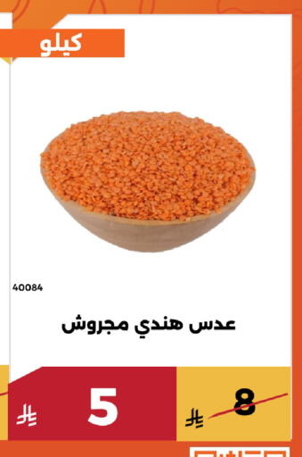 available at Forat Garden in KSA, Saudi Arabia, Saudi - Mecca