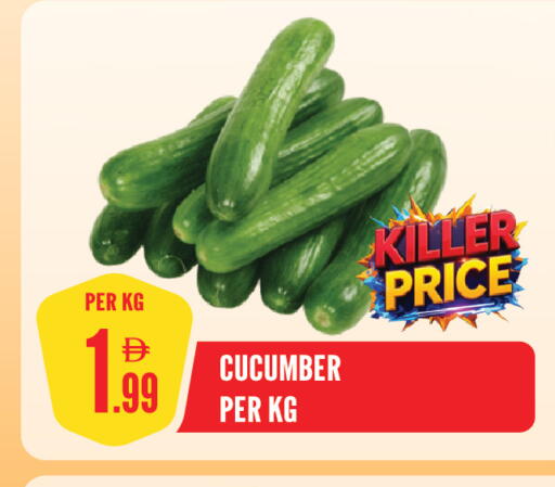 Cucumber available at Dream Land in UAE - Sharjah / Ajman