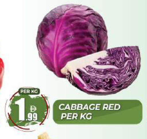 Cabbage available at دريم لاند in الإمارات العربية المتحدة , الامارات - دبي