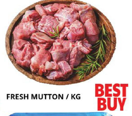 available at اكسبرس المدينة هايبرماركت in الإمارات العربية المتحدة , الامارات - أبو ظبي