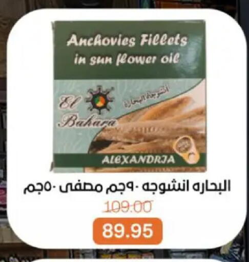 available at بيت الجملة in Egypt - القاهرة
