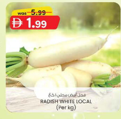 Radish available at ك. الم. للتجارة in الإمارات العربية المتحدة , الامارات - ٱلْفُجَيْرَة‎