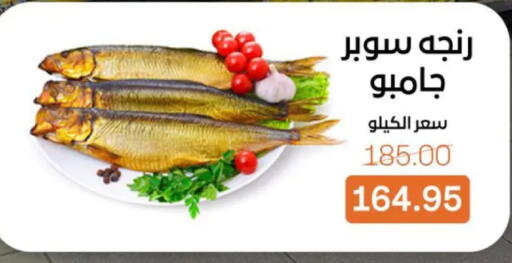 available at بيت الجملة in Egypt - القاهرة