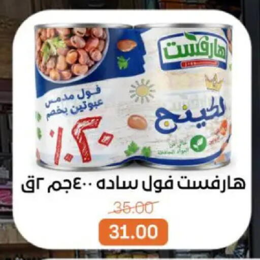 available at بيت الجملة in Egypt - القاهرة