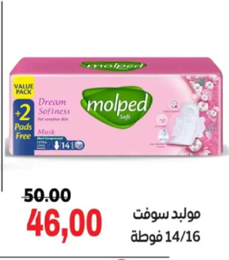 available at Galhom Market in Egypt - Cairo