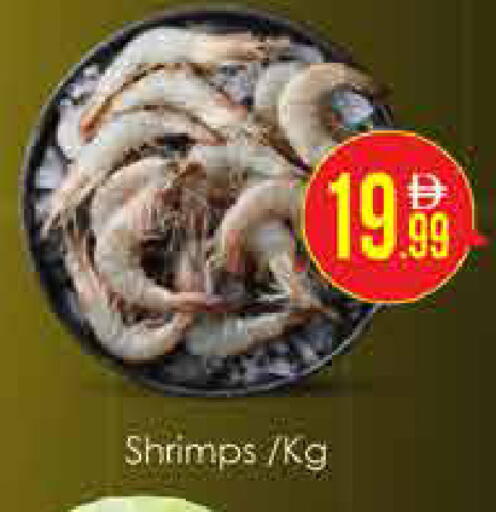 available at ايكو مول & ايكو هايبرماركت in الإمارات العربية المتحدة , الامارات - دبي