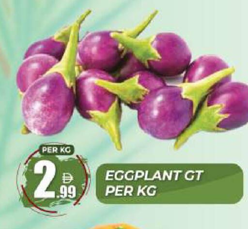 Eggplant available at دريم لاند in الإمارات العربية المتحدة , الامارات - دبي