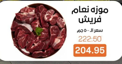 available at بيت الجملة in Egypt - القاهرة