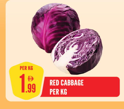 Cabbage available at Dream Land in UAE - Sharjah / Ajman
