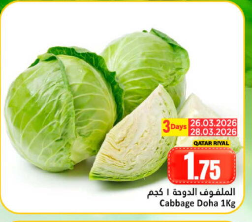 Cabbage from Qatar available at دانة هايبرماركت in قطر - الدوحة